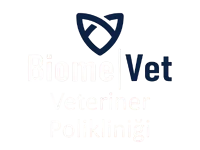 Biome Veteriner Polikliniği | 7/24 Acil Kartal Veteriner